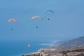 Three paragliders at Torrey Pines Gliderport in La Jolla