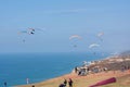 Three paragliders at Torrey Pines Gliderport in La Jolla