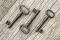 Three parallel iron keys on rustic wooden background, escape room concept