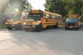 three parked sharp yellow and black school buses with black stripes Royalty Free Stock Photo