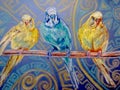 The Three parrots Royalty Free Stock Photo