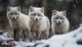 Three pawed mammals in arctic snow wilderness generated by AI