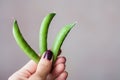 Three pea pods in woman`s hand Royalty Free Stock Photo