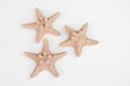 Three peach sand colored starfish isolated