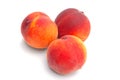 Three peaches with water droplets on a white background. Royalty Free Stock Photo