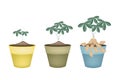Three Peanuts Plant in Ceramic Flower Pots