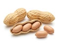 Three peanuts in shells with two loose peanuts Royalty Free Stock Photo