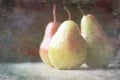 Three Pear Still-Life with Side Light. Artistic Photo Art. Royalty Free Stock Photo