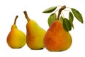 Three pears Royalty Free Stock Photo