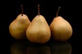 Three pears called manon isolated on black Royalty Free Stock Photo