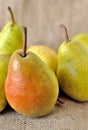 Three pears on a jute background Royalty Free Stock Photo