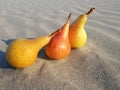 Three pears on the sand Royalty Free Stock Photo