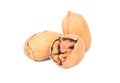Three pecans in shell