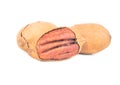 Three pecans in shell