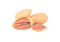 Three pecans in shell