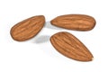 Three peeled almonds on white background