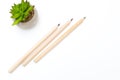 Three pencils and a succulent flower in a flowerpot on a white w