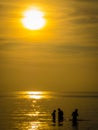 Three people on a golden sunset Royalty Free Stock Photo