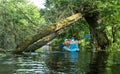 Kayaking under fallen tree Royalty Free Stock Photo
