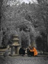 Three people playing cards in the dense forest, Hangzhou Royalty Free Stock Photo