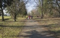three people , young women and men running or jogging on publick park road in Prague Hostivar, early spring sunny day, tree and b