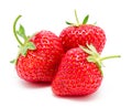 Three perfect red ripe strawberry isolated