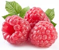 Three perfect ripe raspberries with leaves. Royalty Free Stock Photo