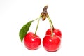 Three perfect sweet cherries with cherry leaf isolated on a white background Royalty Free Stock Photo