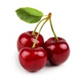 Three sweet cherries with cherry leaf Royalty Free Stock Photo