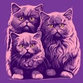 Three persian cats on a purple background, Can be used for t-shirt print or poster