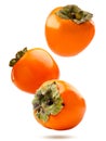 Three persimmons falling on a white background. Isolated Royalty Free Stock Photo