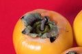 Three persimmons on red background