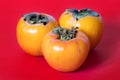 Three persimmons on red background Royalty Free Stock Photo