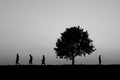 Three person are working keeping a tree and a man behind