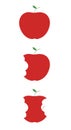 Three phases of a bitten apple