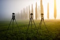Three photo tripods with cameras, standing in the meadow