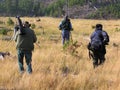 Three photographers are looking for the best shot of a deer