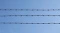 Three pieces of barbed wire Royalty Free Stock Photo
