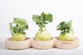 Three pieces of kohlrabi vegetable isolated on yellow simple background with copy space Royalty Free Stock Photo