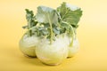 Three pieces of kohlrabi vegetable isolated on yellow simple background with copy space Royalty Free Stock Photo