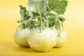 Three pieces of kohlrabi vegetable isolated on yellow simple background with copy space Royalty Free Stock Photo