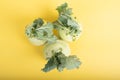 Three pieces of kohlrabi vegetable isolated on yellow simple background with copy space Royalty Free Stock Photo