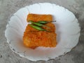 Three pieces of rissoles filled with chicken are served on a white plate.