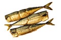 Three pieces of smoked scomber fish. Royalty Free Stock Photo