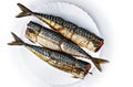 Three pieces of smoked scomber fish. Royalty Free Stock Photo