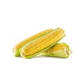 Three pieces of sweet corn isolated on white background Royalty Free Stock Photo