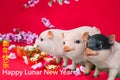 Three pig boar in red background with Happy Lunar New Year greeting text.
