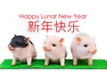 Three pig boar in white background with Happy Lunar New Year greeting text. Pig is 2019 Chinese New Year zodiac