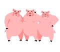 Three pig. Illustration for fairy tale. piglets on white background Royalty Free Stock Photo