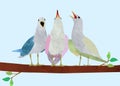 Three pigeons sing a sonata in daylight